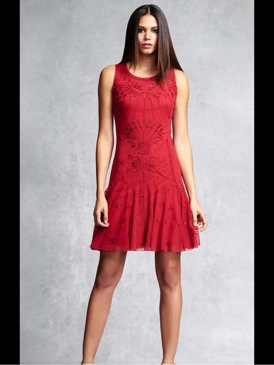 Aidan Mattox Dresses & Skirts - Aidan Mattox Embroidered Mesh Drop Waist Dress